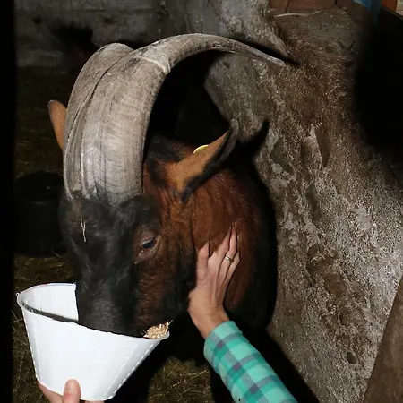 Séjour à la ferme Agriturismo Cioi Longhi
